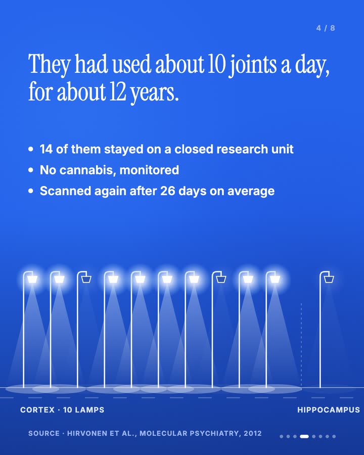 Slide 4 of 8
