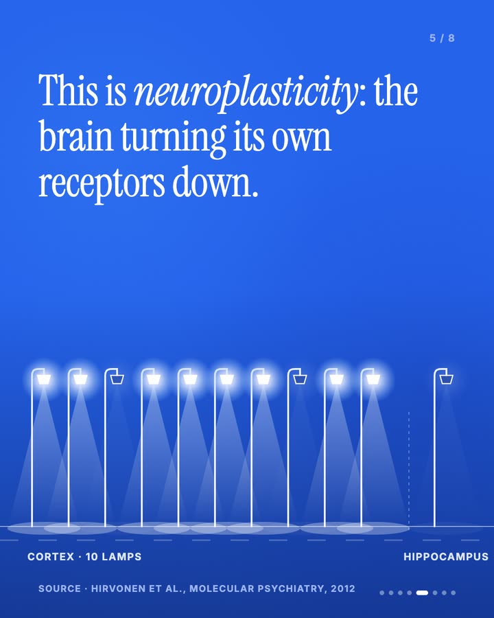 Slide 5 of 8